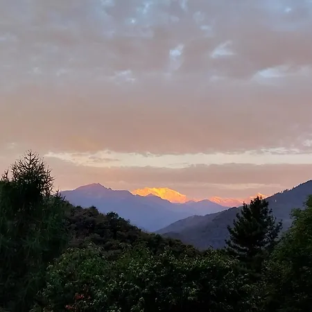 La Casa Nel Bosco Beb Alojamento de Acomodação e Pequeno-almoço Bee