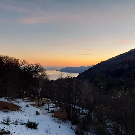 Bed & Breakfast La Casa Nel Bosco Beb *