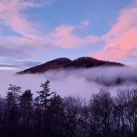 Alojamento de Acomodação e Pequeno-almoço La Casa Nel Bosco Beb Bee