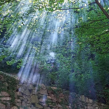 La Casa Nel Bosco Beb