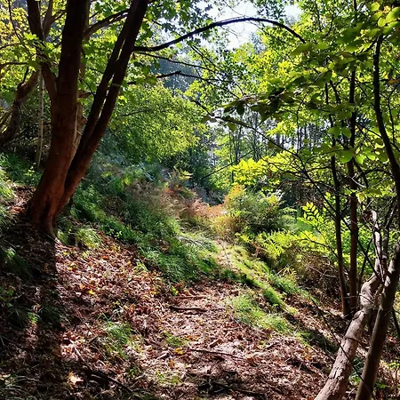 La Casa Nel Bosco Beb Alojamento de Acomodação e Pequeno-almoço 3*