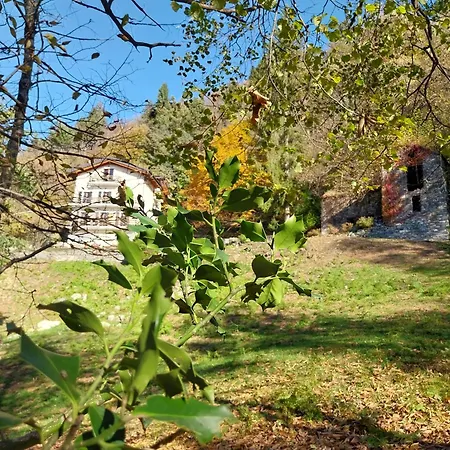 La Casa Nel Bosco Beb *