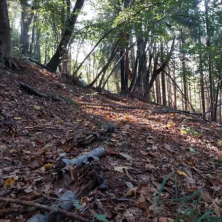 Bed and breakfast La Casa Nel Bosco Beb