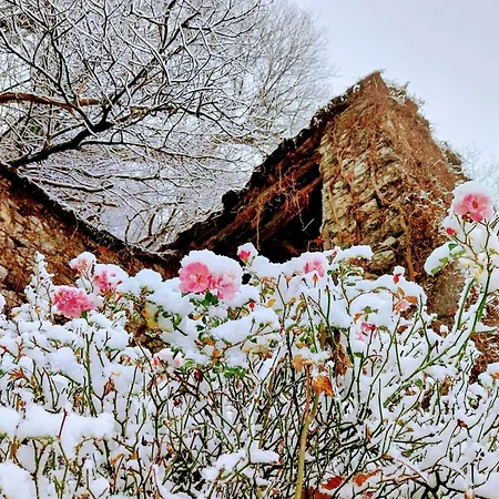 Bed & Breakfast La Casa Nel Bosco Beb Bee