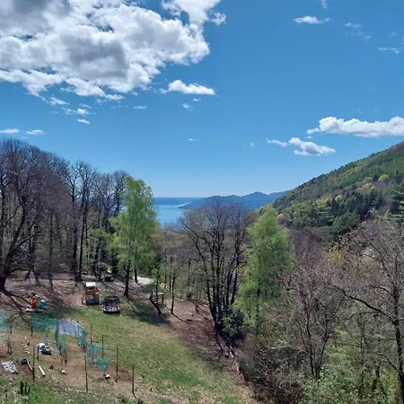 La Casa Nel Bosco Beb * Bee