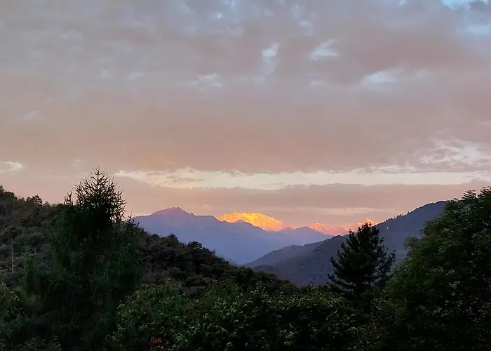 La Casa Nel Bosco Beb Nocleg ze śniadaniem Bee