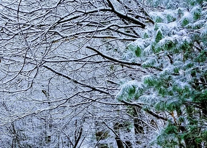 Nocleg ze śniadaniem La Casa Nel Bosco Beb