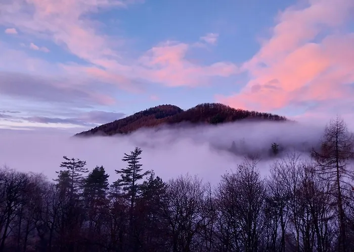 B&B La Casa Nel Bosco Beb Bee