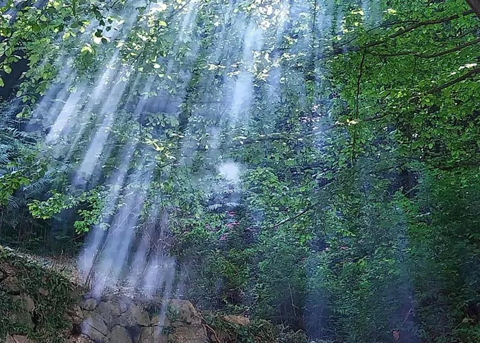 La Casa Nel Bosco Beb