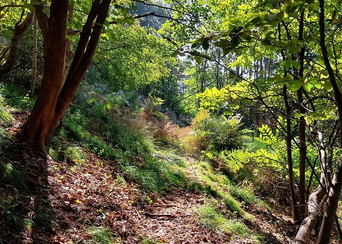 La Casa Nel Bosco Beb Nocleg ze śniadaniem 3*