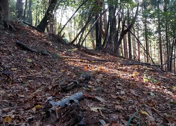 Nocleg ze śniadaniem La Casa Nel Bosco Beb