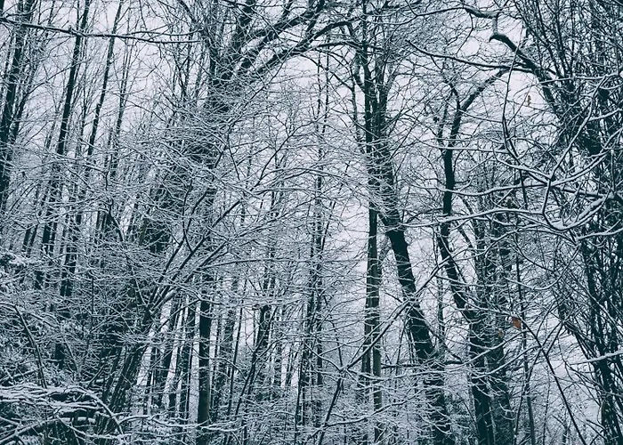 Nocleg ze śniadaniem La Casa Nel Bosco Beb